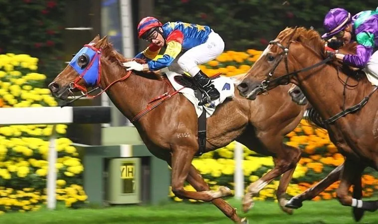 Tìm Hiểu Cách Chơi Cá Cược Đua Ngựa 12Play Chuẩn Xác Nhất 2 Cần tìm hiểu về bộ môn đua ngựa trước khi cá cược